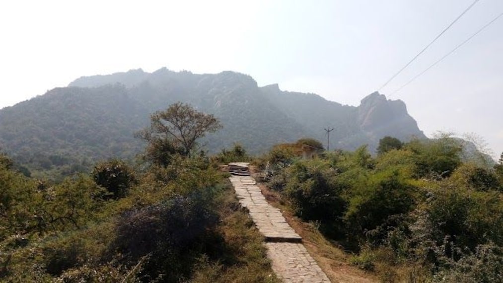 Amirthi Zoological Park-1